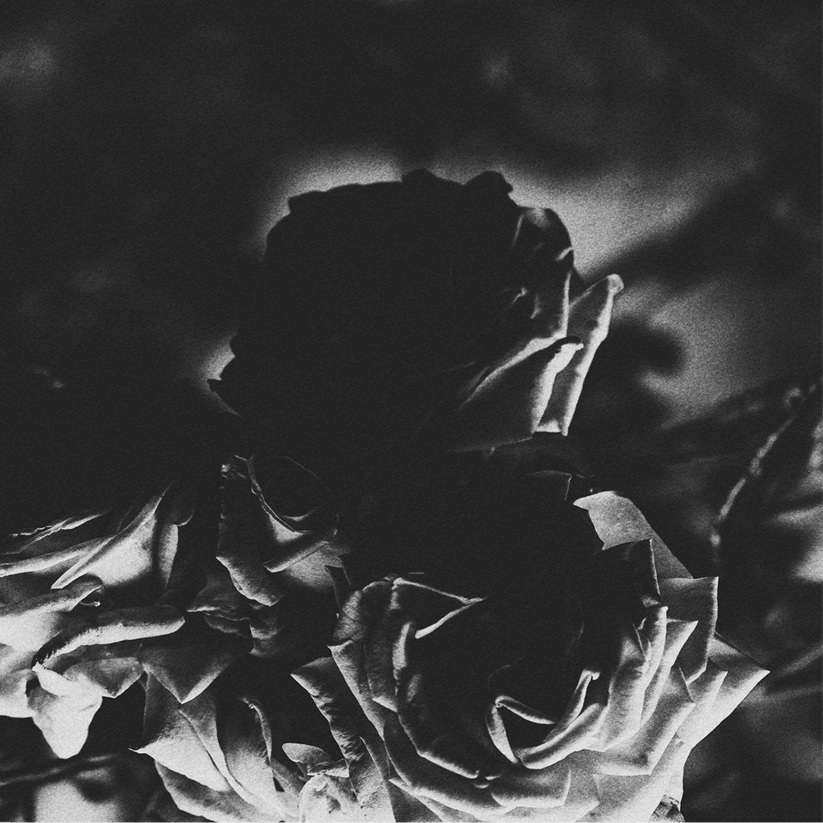 HEXIS / TELOS - Split 5''