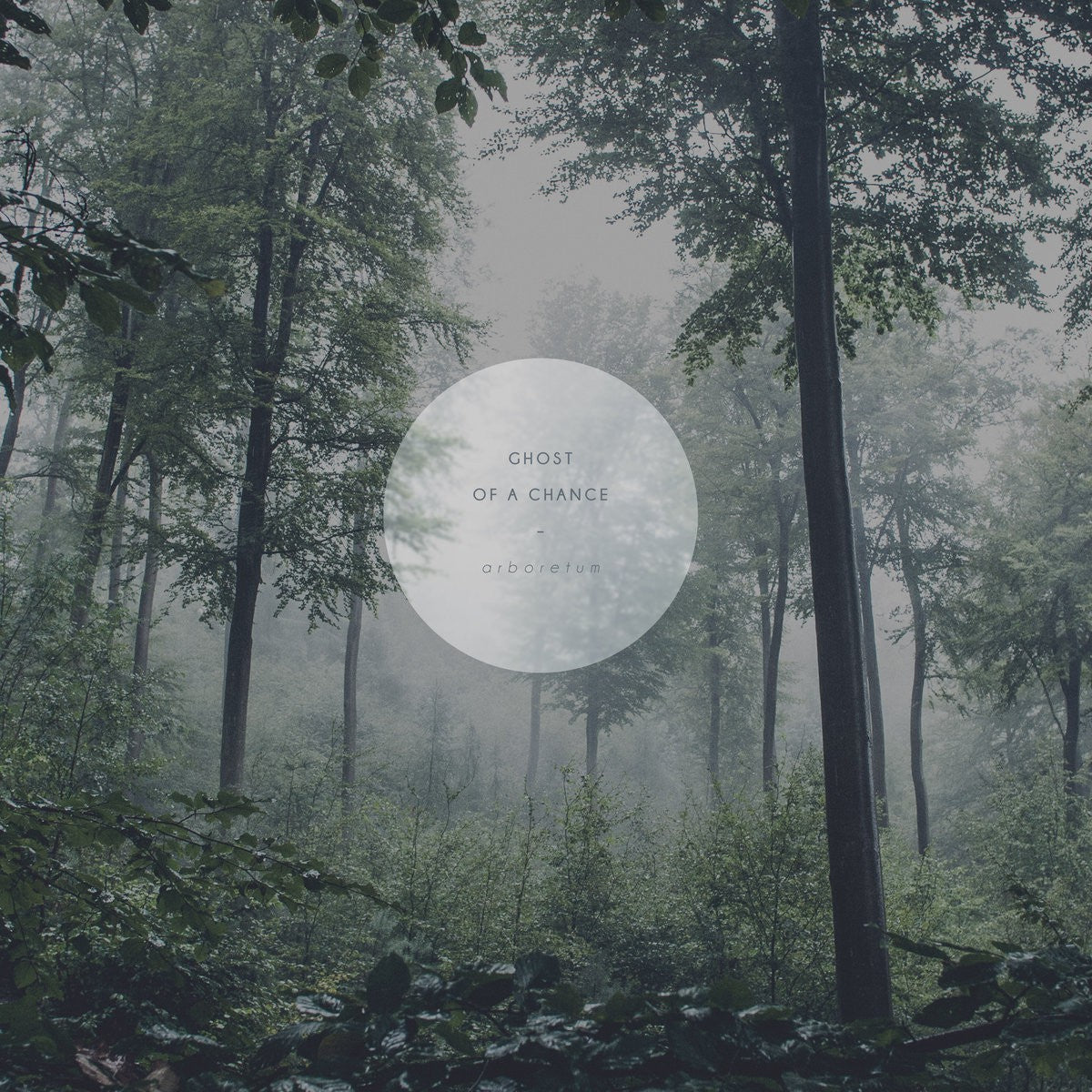 GHOST OF A CHANCE - Arboretum LP