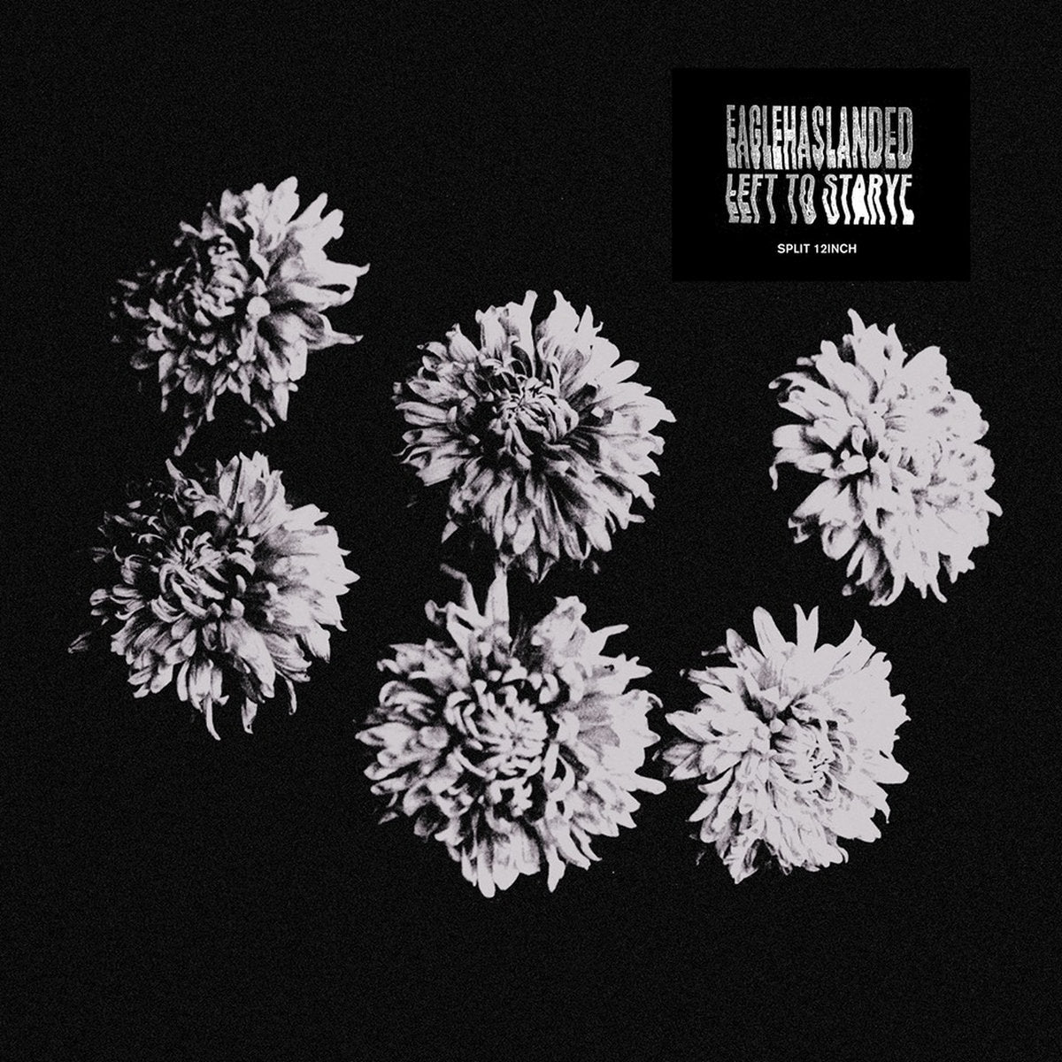 EAGLEHASLANDED / LEFT TO STARVE - Split LP