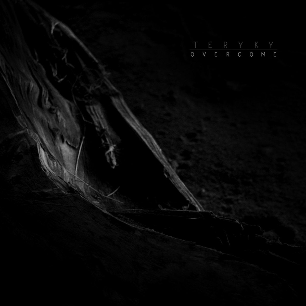 TERYKY - Overcome LP