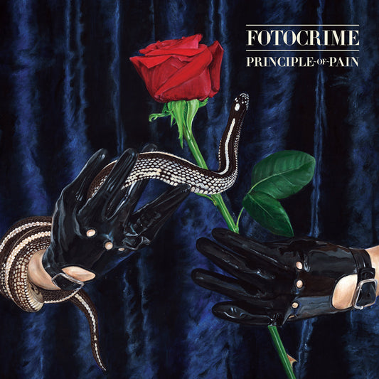 FOTOCRIME - Principle Of Pain LP