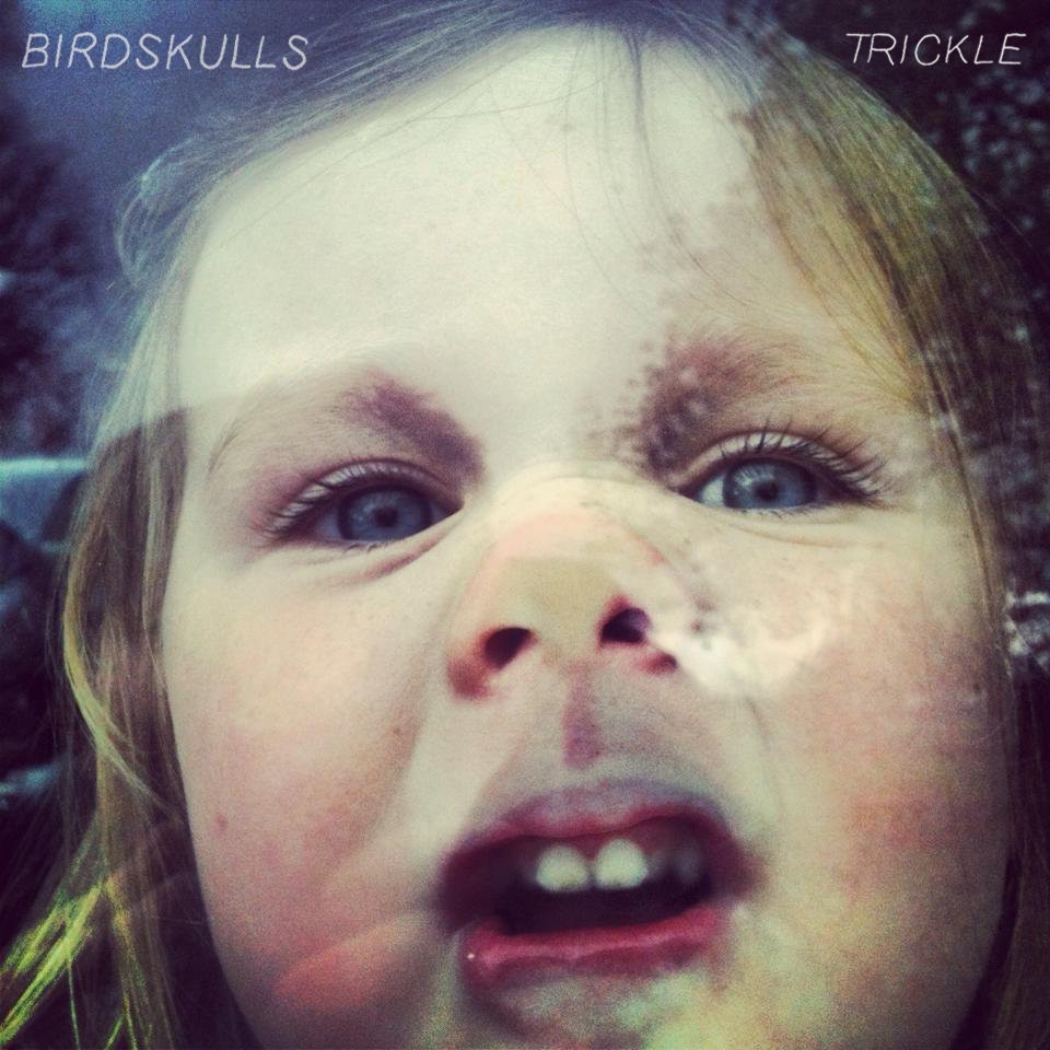 BIRDSKULLS - Trickle LP