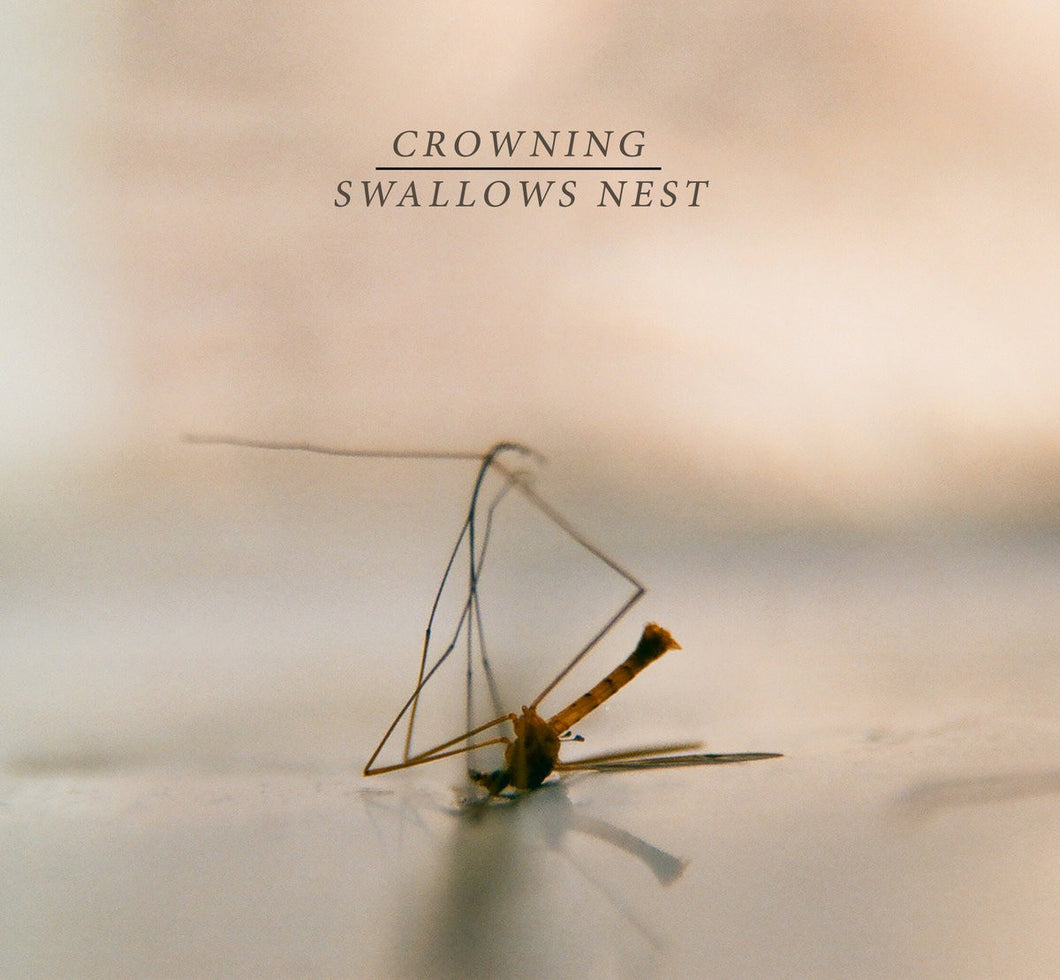 SWALLOWS NEST / CROWNING - Split  7''