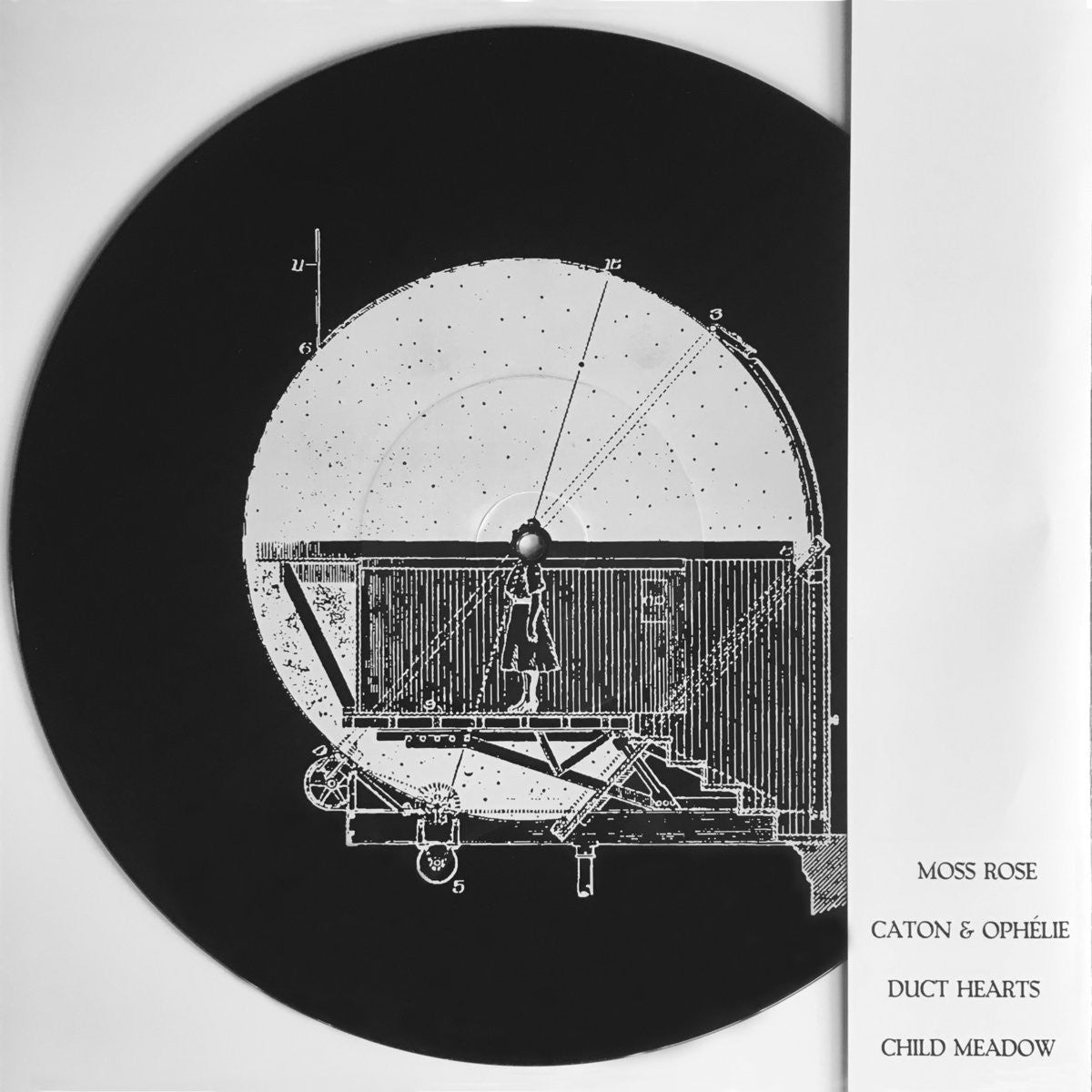 MOSS ROSE / CATON & OPHÉLIE / DUCT HEARTS / CHILD MEADOW - Split LP