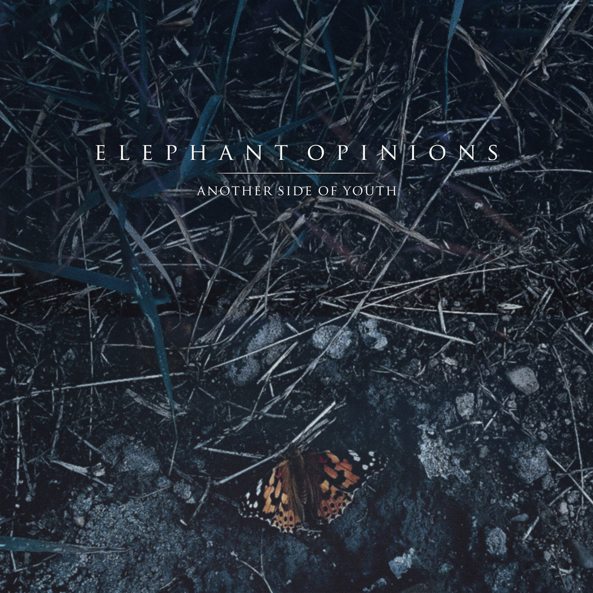 ELEPHANT OPINIONS - Another Side of Youth LP