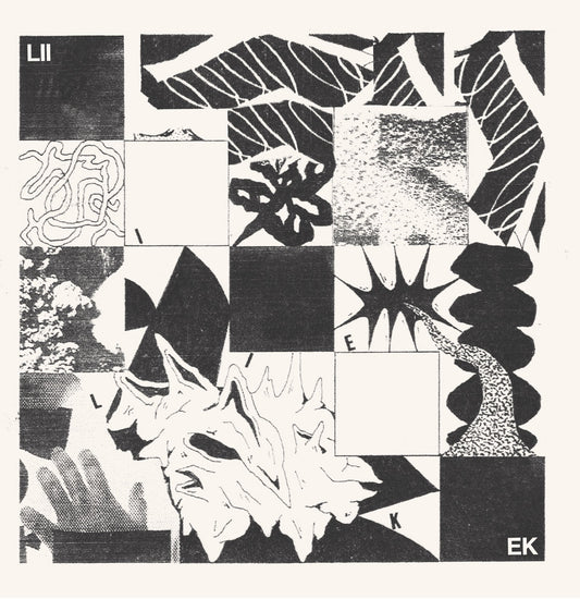 LIIEK - Liiek LP