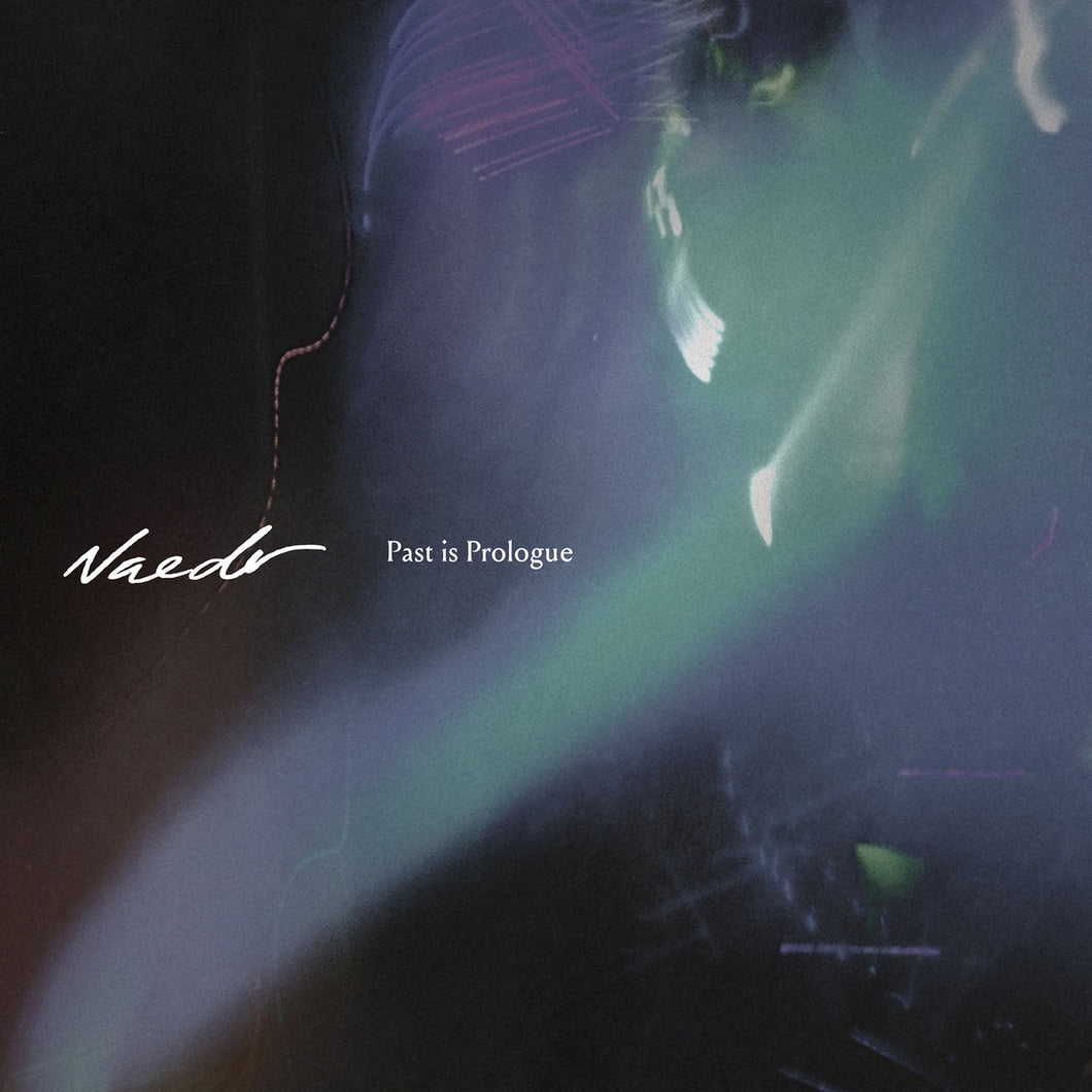 NAEDR - Past is Prologue LP