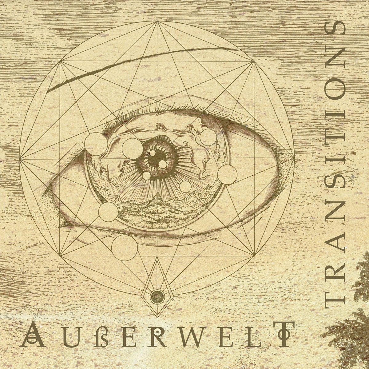 AUßERWELT - Transitions LP