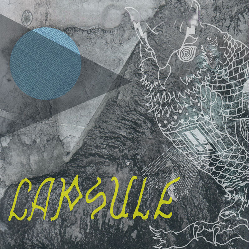 CAPSULE - No Ghost LP