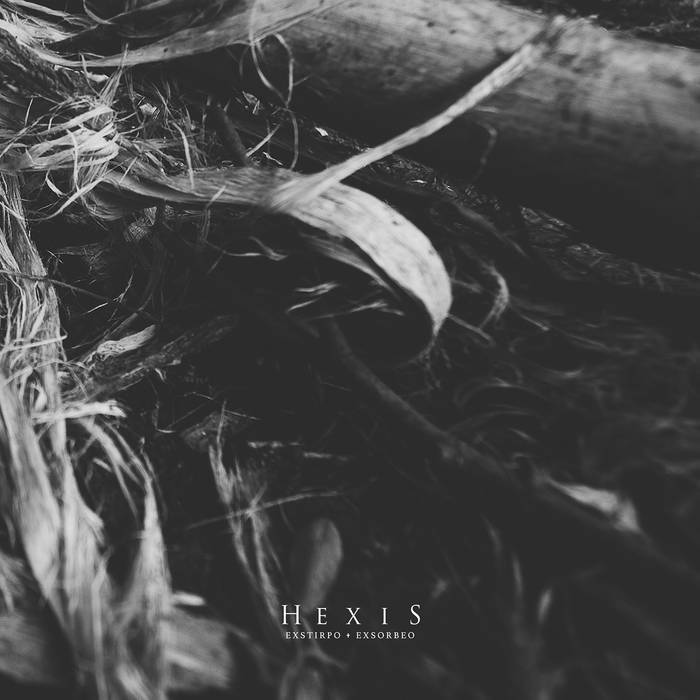 HEXIS - Exstirpo / Exsorbeo 6''